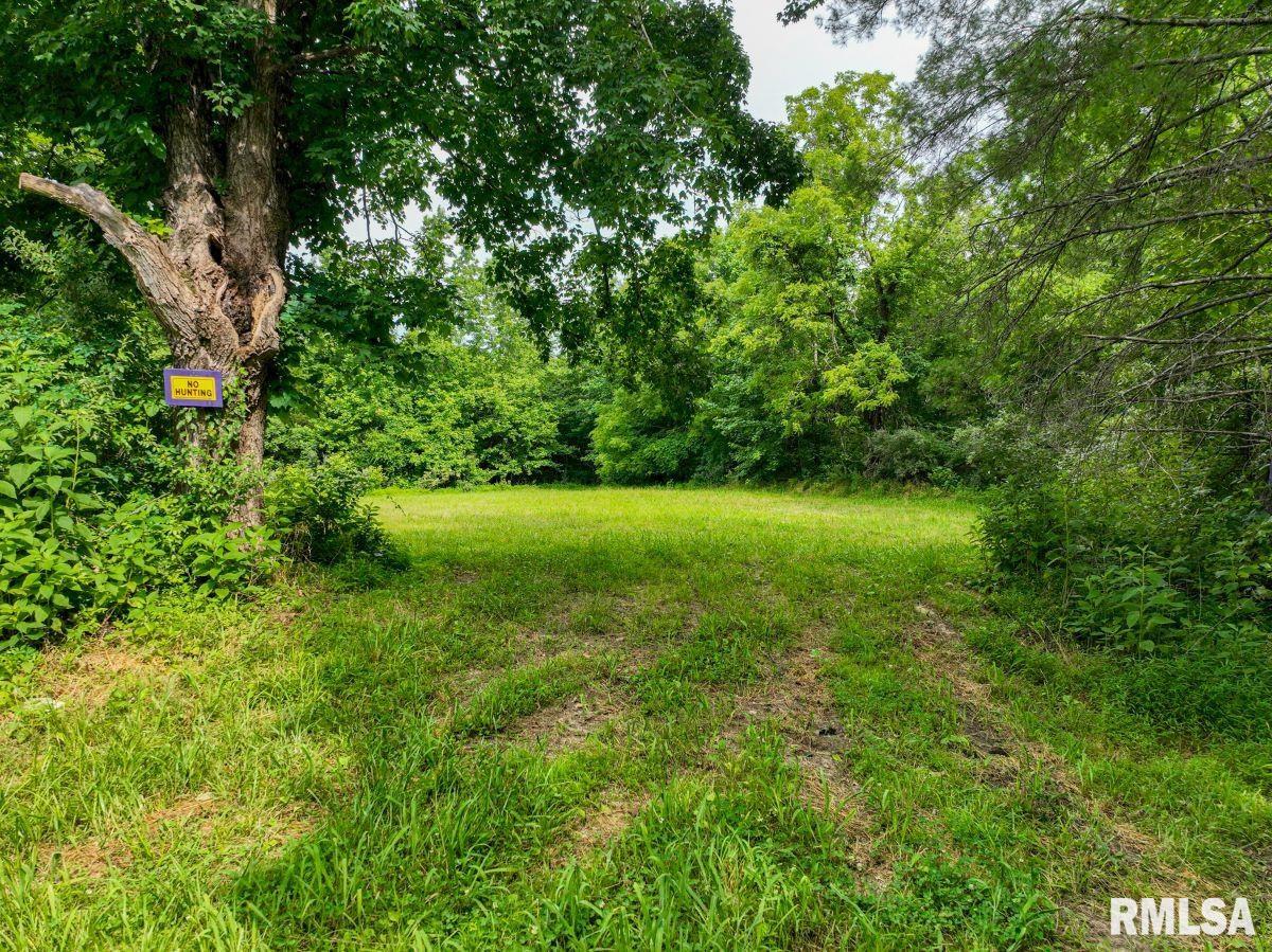 0 Grand Pierre Drive Golconda, IL 62938 - Photo 34 of 68