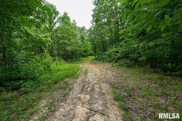 $619,000 | 0 Grand Pierre Drive, Golconda, IL 62938