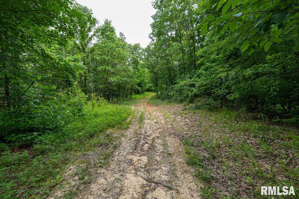 0 Grand Pierre Drive Golconda, IL 62938 - Photo 35 of 68