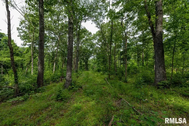 $619,000 | 0 Grand Pierre Drive, Golconda, IL 62938