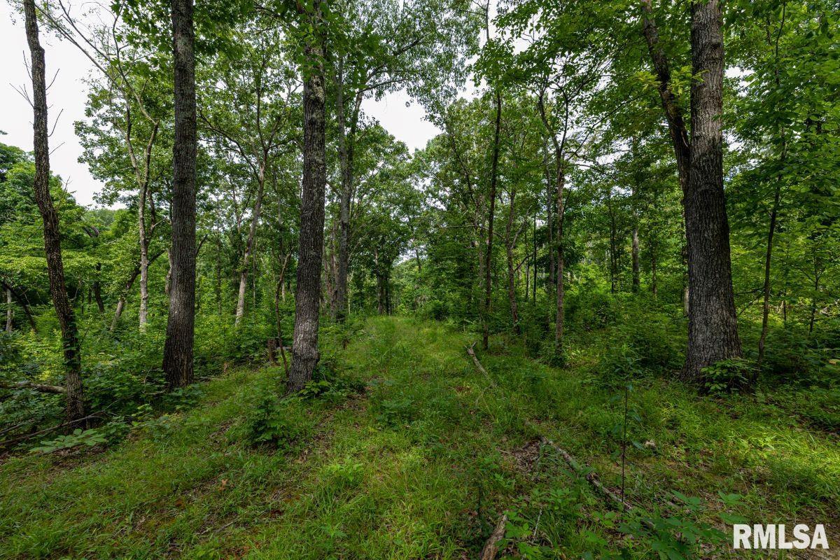 0 Grand Pierre Drive Golconda, IL 62938 - Photo 36 of 68