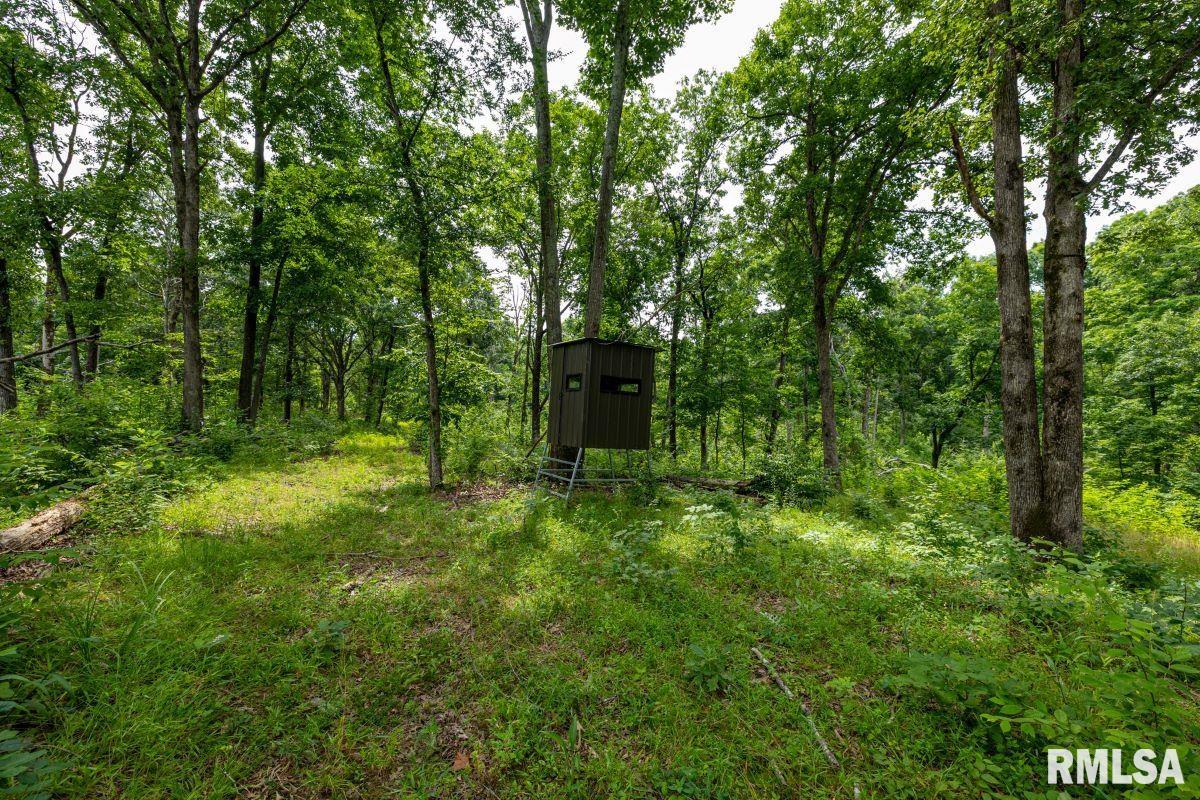 0 Grand Pierre Drive Golconda, IL 62938 - Photo 37 of 68