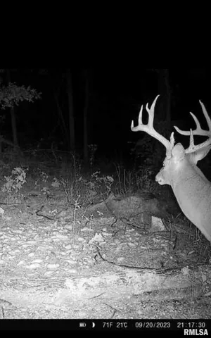 $619,000 | 0 Grand Pierre Drive, Golconda, IL 62938