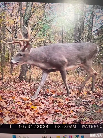 $619,000 | 0 Grand Pierre Drive, Golconda, IL 62938