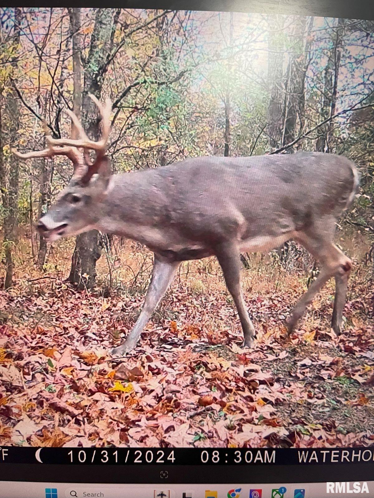 0 Grand Pierre Drive Golconda, IL 62938 - Photo 39 of 68
