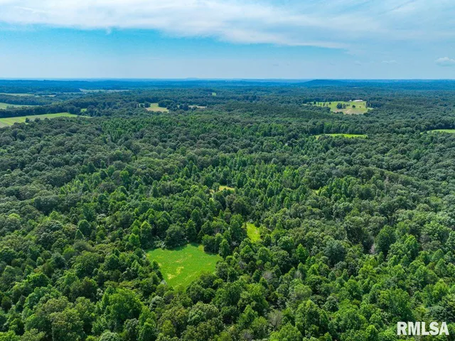 $619,000 | 0 Grand Pierre Drive, Golconda, IL 62938