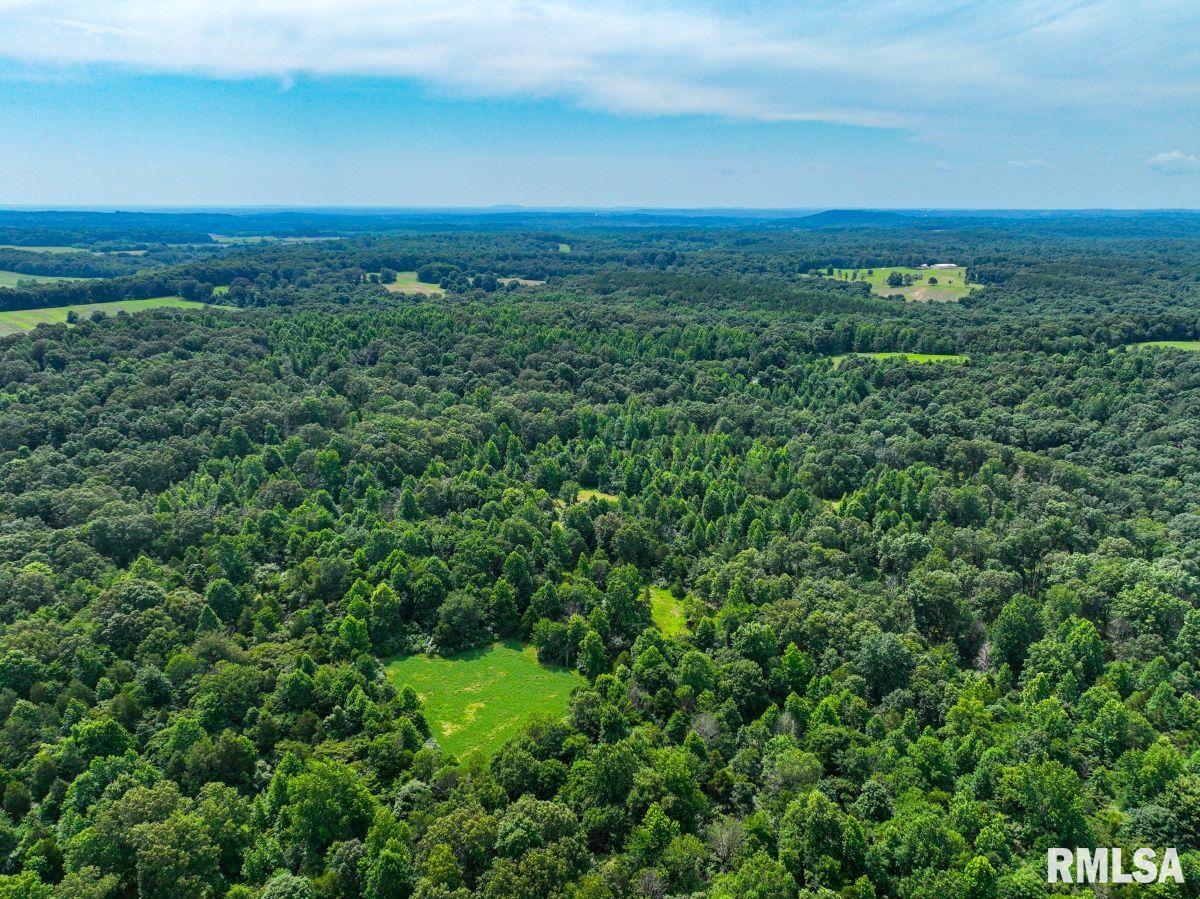 0 Grand Pierre Drive Golconda, IL 62938 - Photo 40 of 68