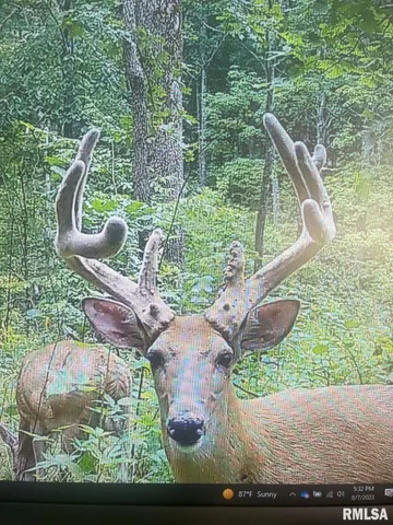 $619,000 | 0 Grand Pierre Drive, Golconda, IL 62938