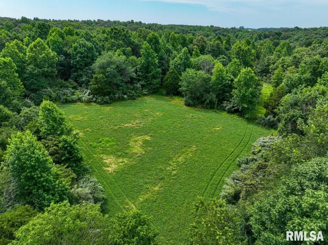 $619,000 | 0 Grand Pierre Drive, Golconda, IL 62938