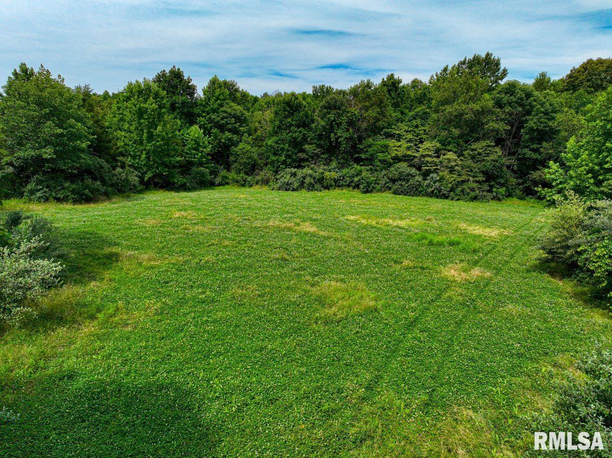 0 Grand Pierre Drive Golconda, IL 62938 - Photo 42 of 68