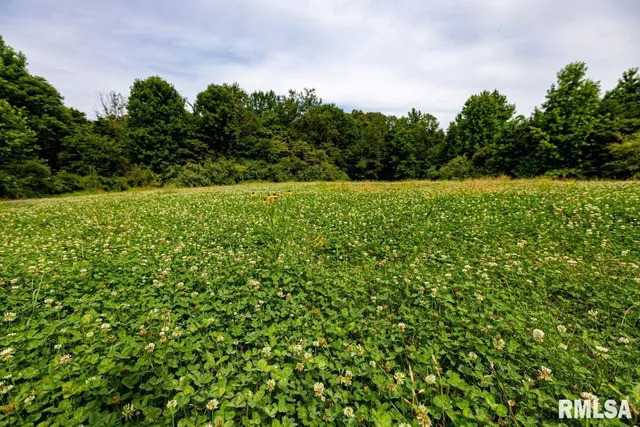 $619,000 | 0 Grand Pierre Drive, Golconda, IL 62938