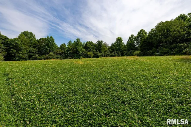 $619,000 | 0 Grand Pierre Drive, Golconda, IL 62938