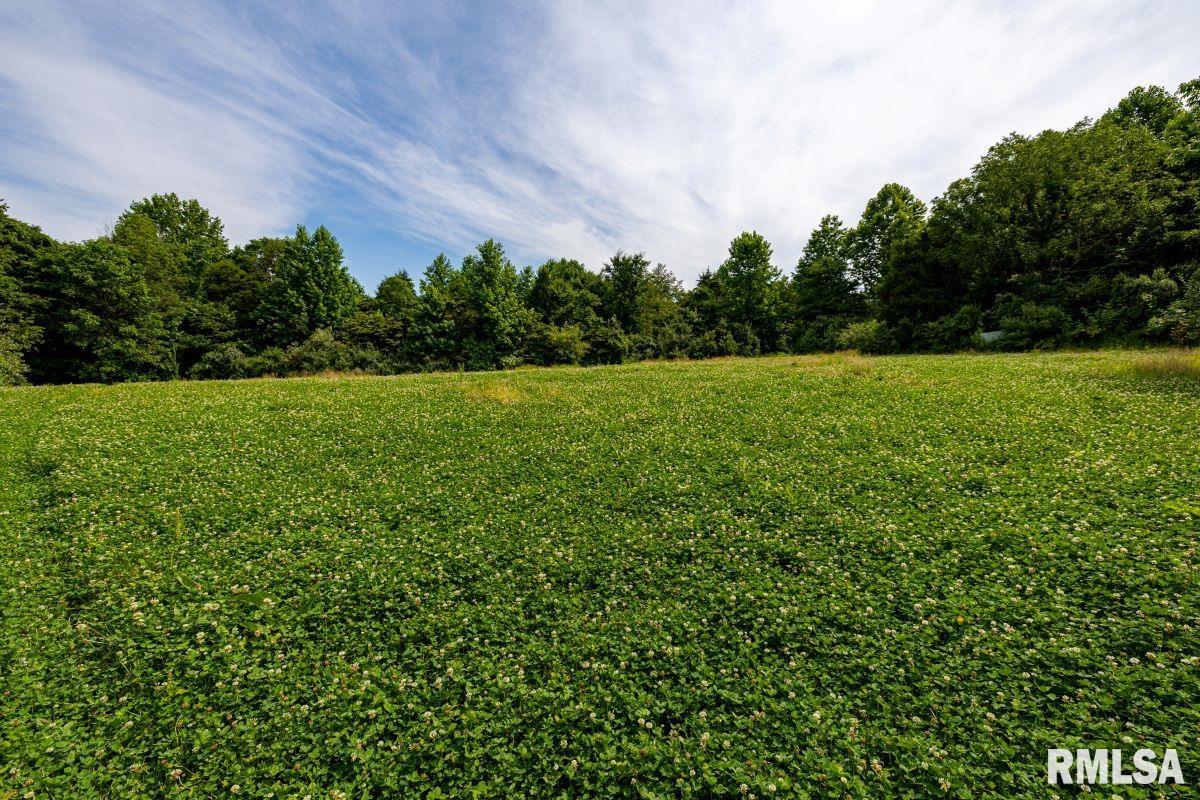 0 Grand Pierre Drive Golconda, IL 62938 - Photo 44 of 68