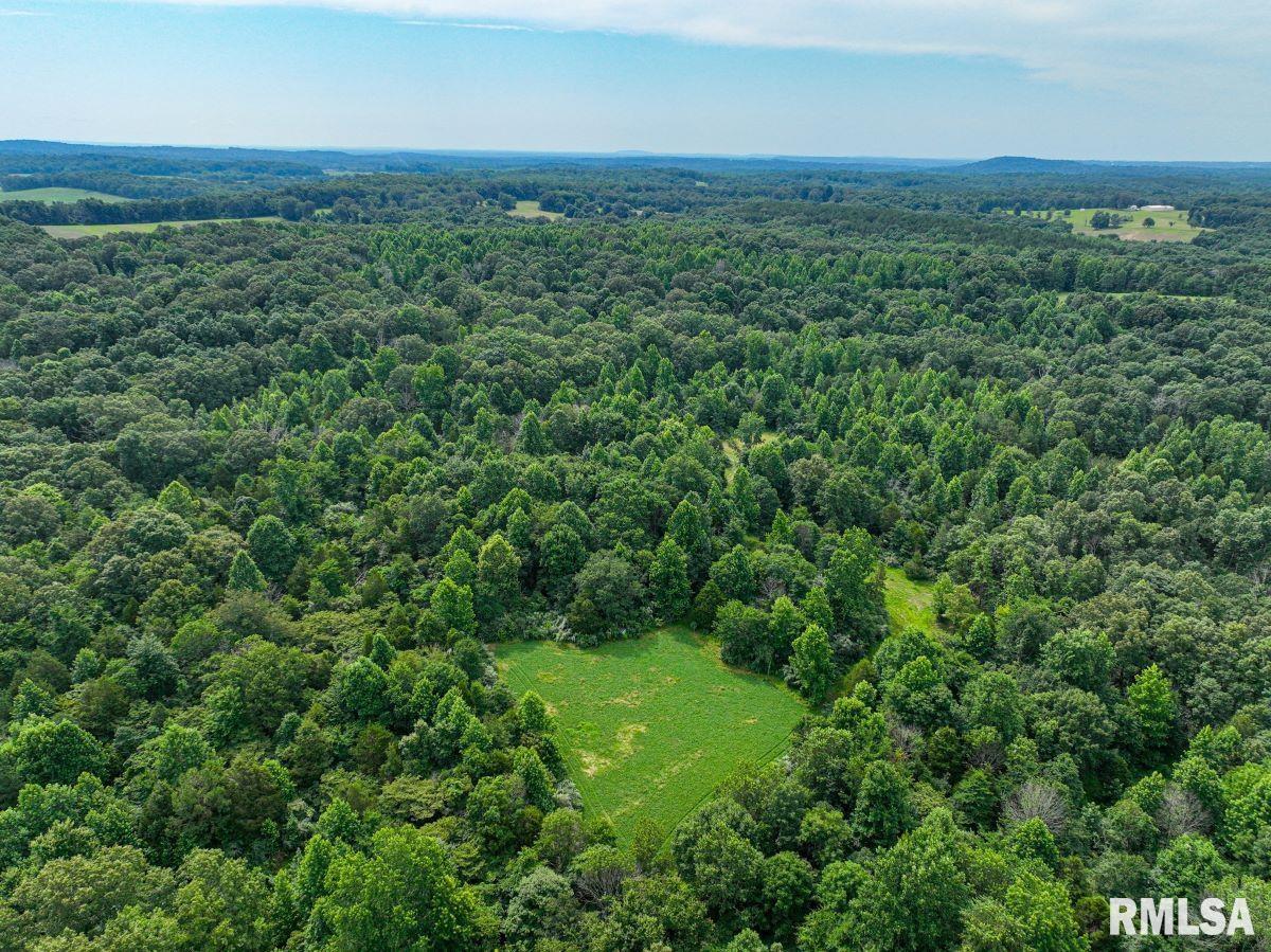 0 Grand Pierre Drive Golconda, IL 62938 - Photo 45 of 68