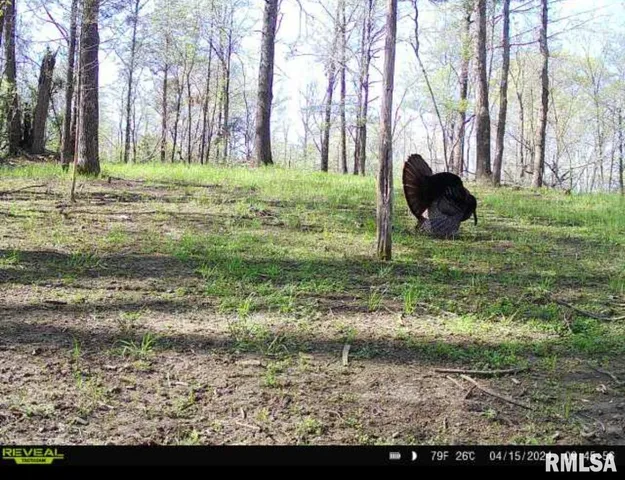 $619,000 | 0 Grand Pierre Drive, Golconda, IL 62938