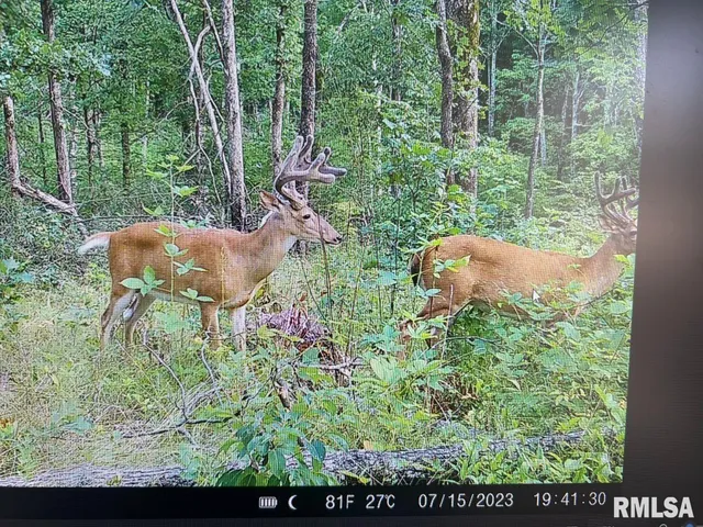 $619,000 | 0 Grand Pierre Drive, Golconda, IL 62938