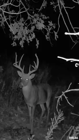 $619,000 | 0 Grand Pierre Drive, Golconda, IL 62938