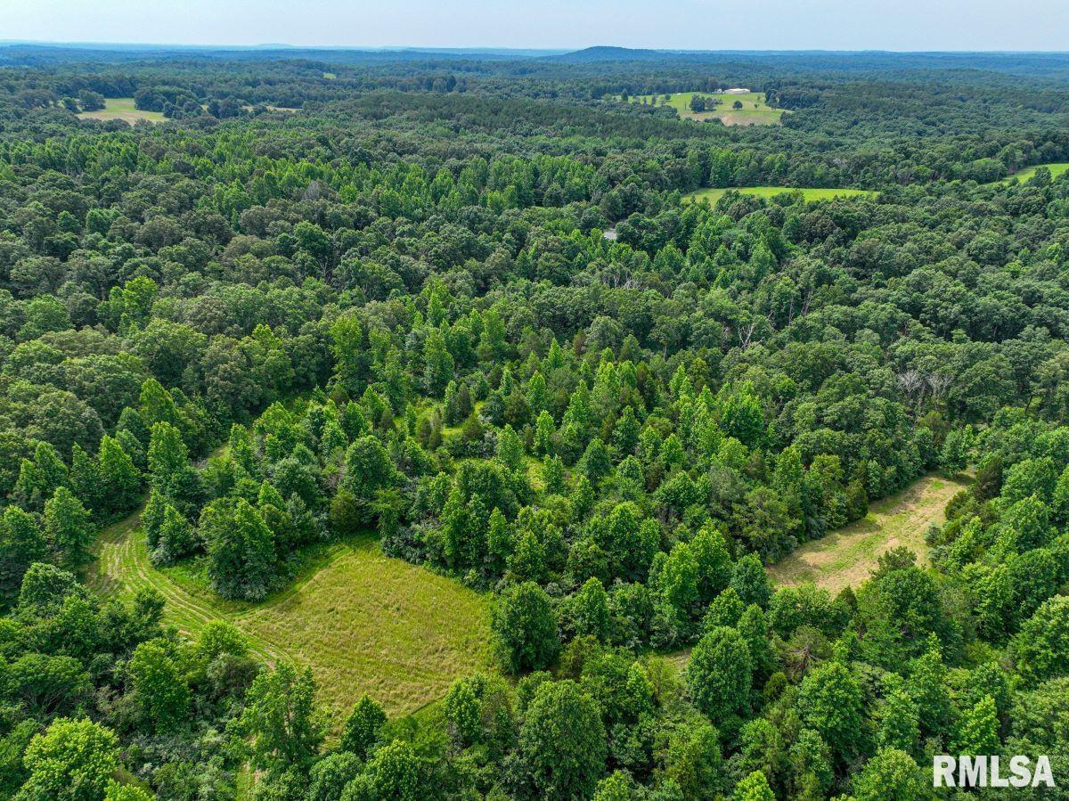 0 Grand Pierre Drive Golconda, IL 62938 - Photo 50 of 68