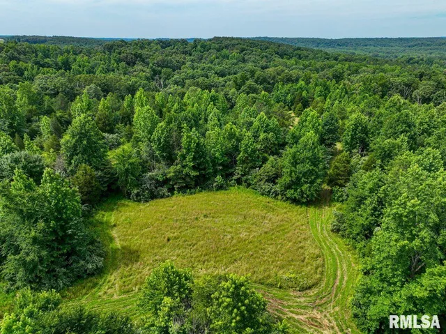 $619,000 | 0 Grand Pierre Drive, Golconda, IL 62938