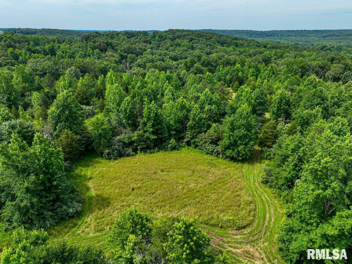 0 Grand Pierre Drive Golconda, IL 62938 - Photo 51 of 68