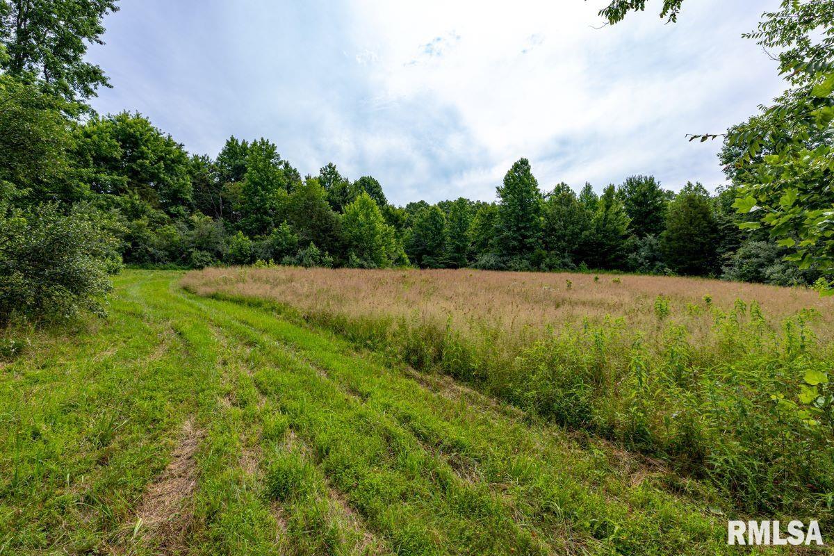 0 Grand Pierre Drive Golconda, IL 62938 - Photo 53 of 68