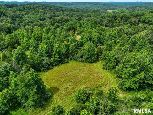 $619,000 | 0 Grand Pierre Drive, Golconda, IL 62938