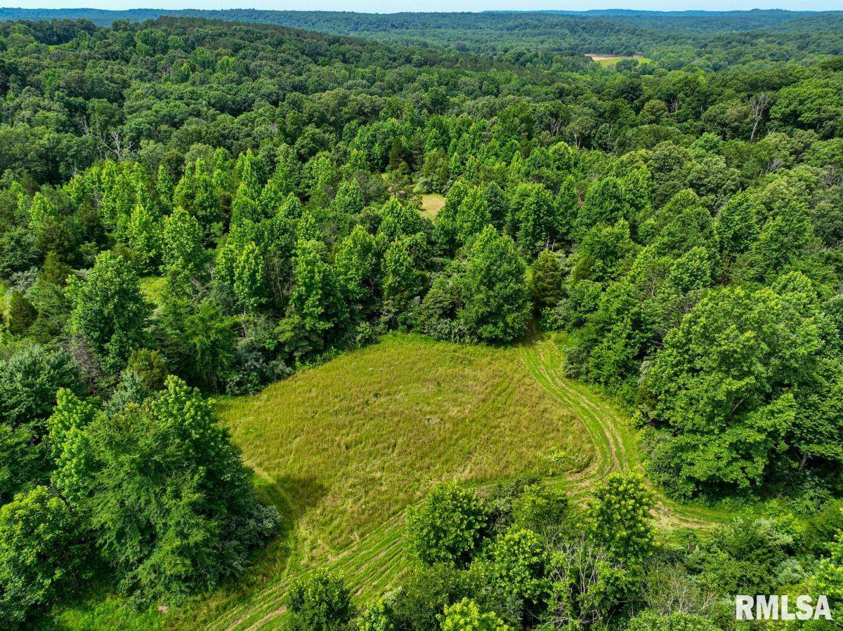 0 Grand Pierre Drive Golconda, IL 62938 - Photo 54 of 68