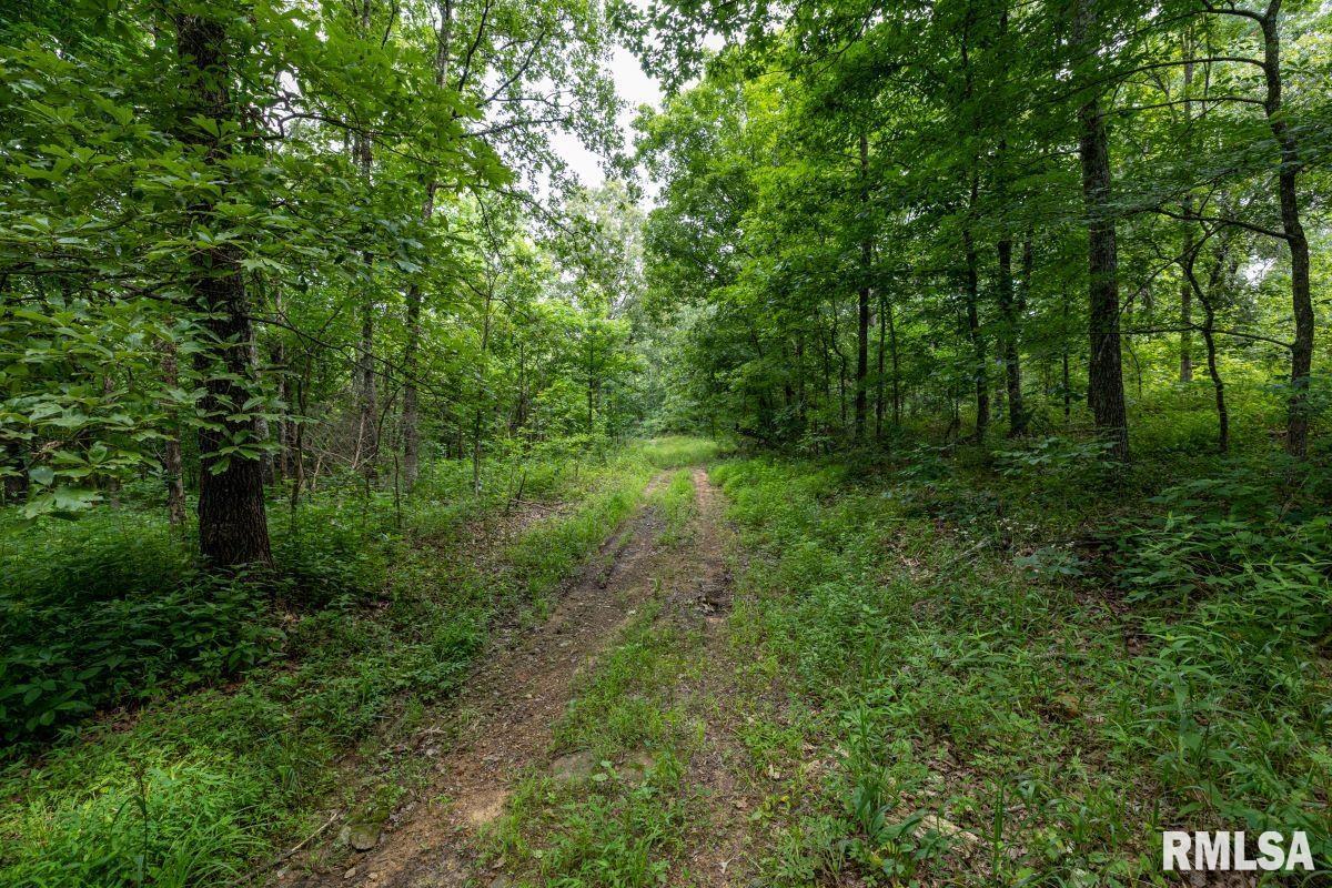 0 Grand Pierre Drive Golconda, IL 62938 - Photo 55 of 68