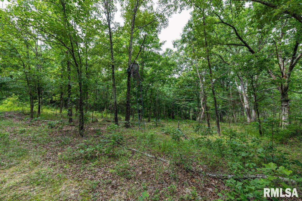 0 Grand Pierre Drive Golconda, IL 62938 - Photo 56 of 68