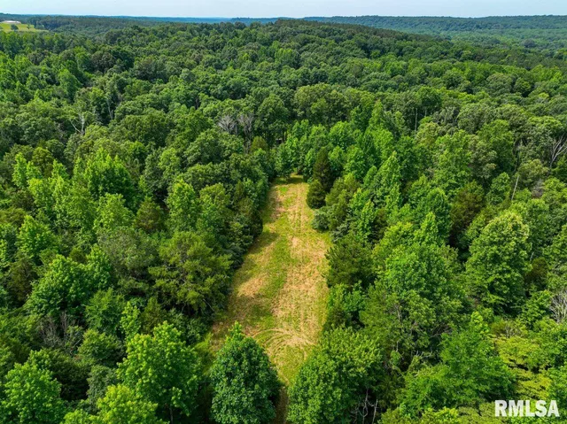 $619,000 | 0 Grand Pierre Drive, Golconda, IL 62938