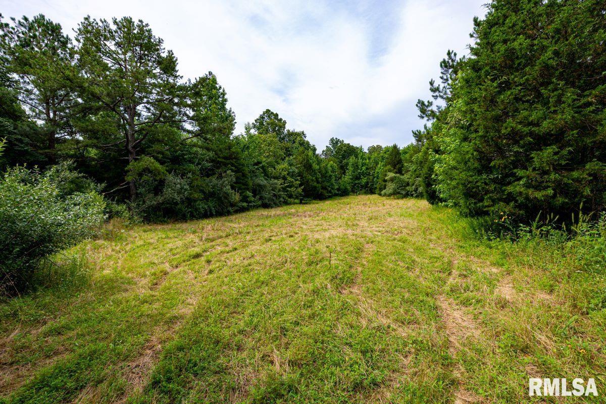 0 Grand Pierre Drive Golconda, IL 62938 - Photo 58 of 68