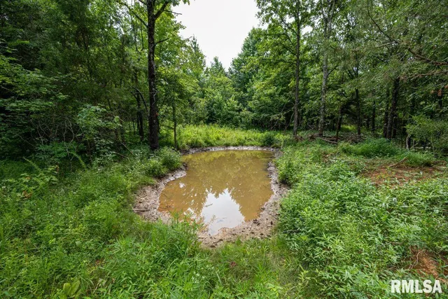 $619,000 | 0 Grand Pierre Drive, Golconda, IL 62938