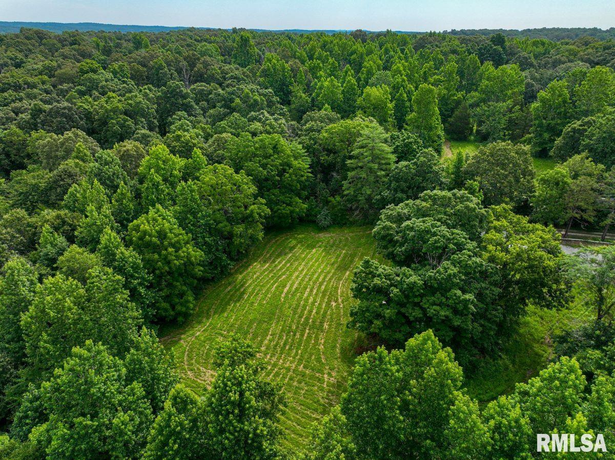 0 Grand Pierre Drive Golconda, IL 62938 - Photo 60 of 68