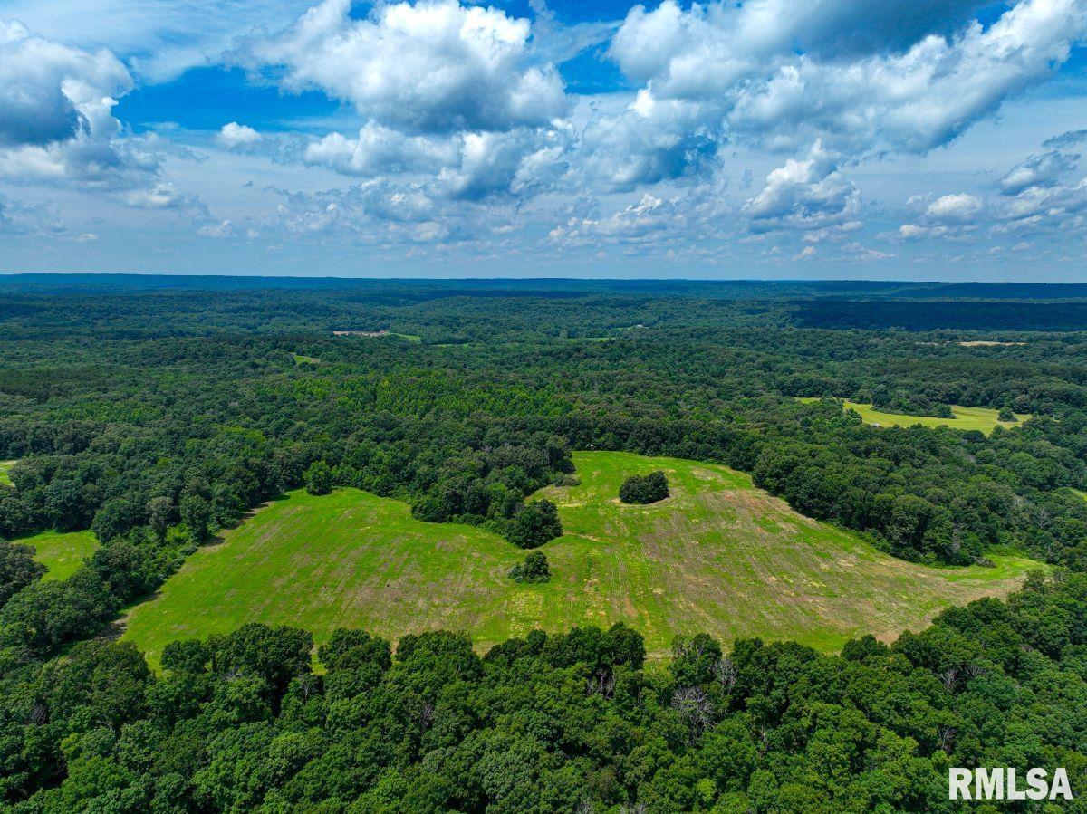 0 Grand Pierre Drive Golconda, IL 62938 - Photo 6 of 68