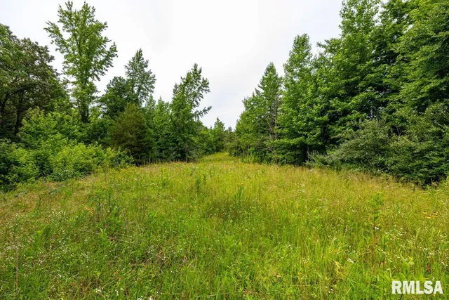 $619,000 | 0 Grand Pierre Drive, Golconda, IL 62938