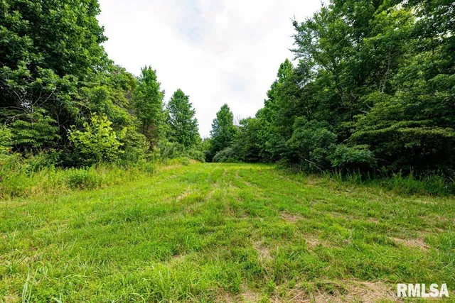 $619,000 | 0 Grand Pierre Drive, Golconda, IL 62938