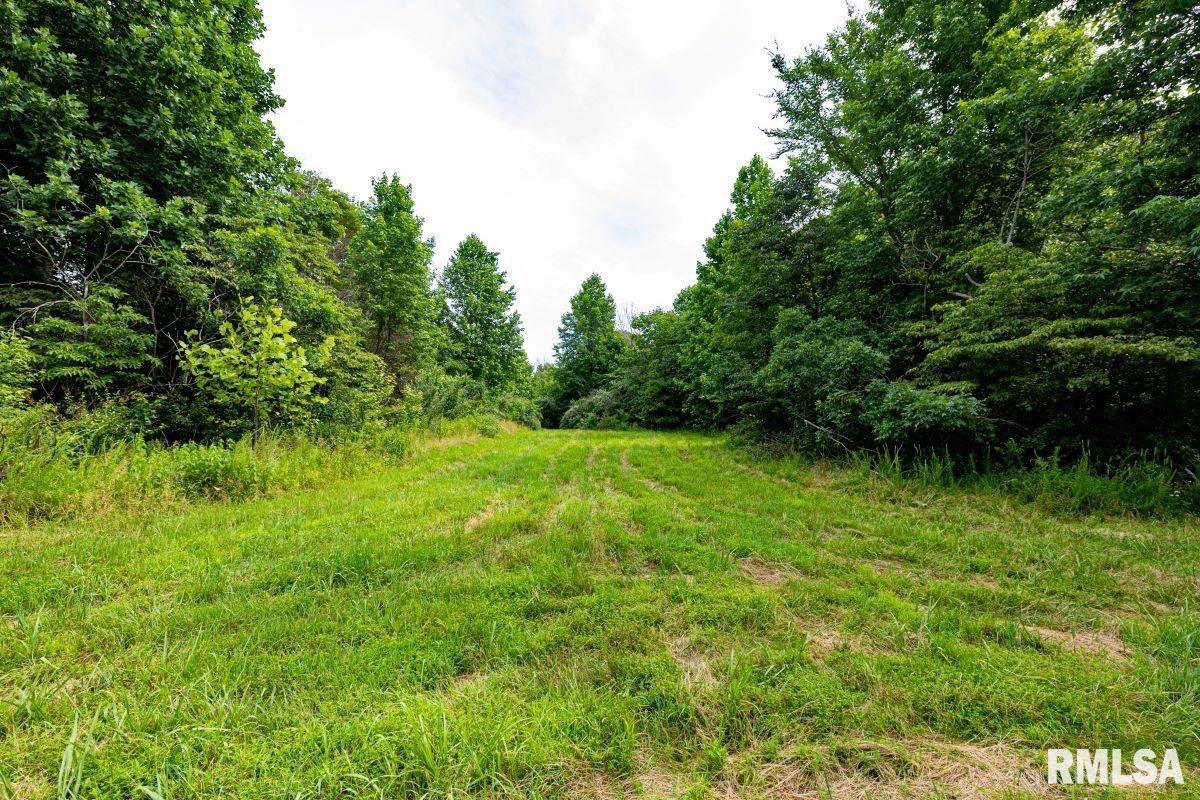 0 Grand Pierre Drive Golconda, IL 62938 - Photo 63 of 68