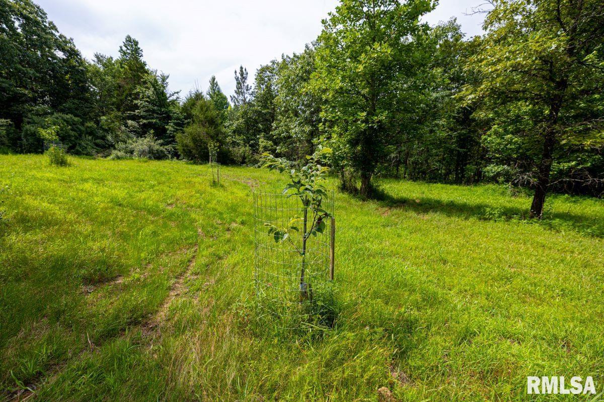 0 Grand Pierre Drive Golconda, IL 62938 - Photo 64 of 68