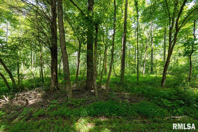 $619,000 | 0 Grand Pierre Drive, Golconda, IL 62938