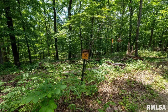 $619,000 | 0 Grand Pierre Drive, Golconda, IL 62938