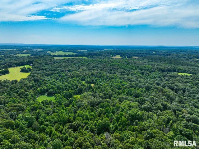 $619,000 | 0 Grand Pierre Drive, Golconda, IL 62938