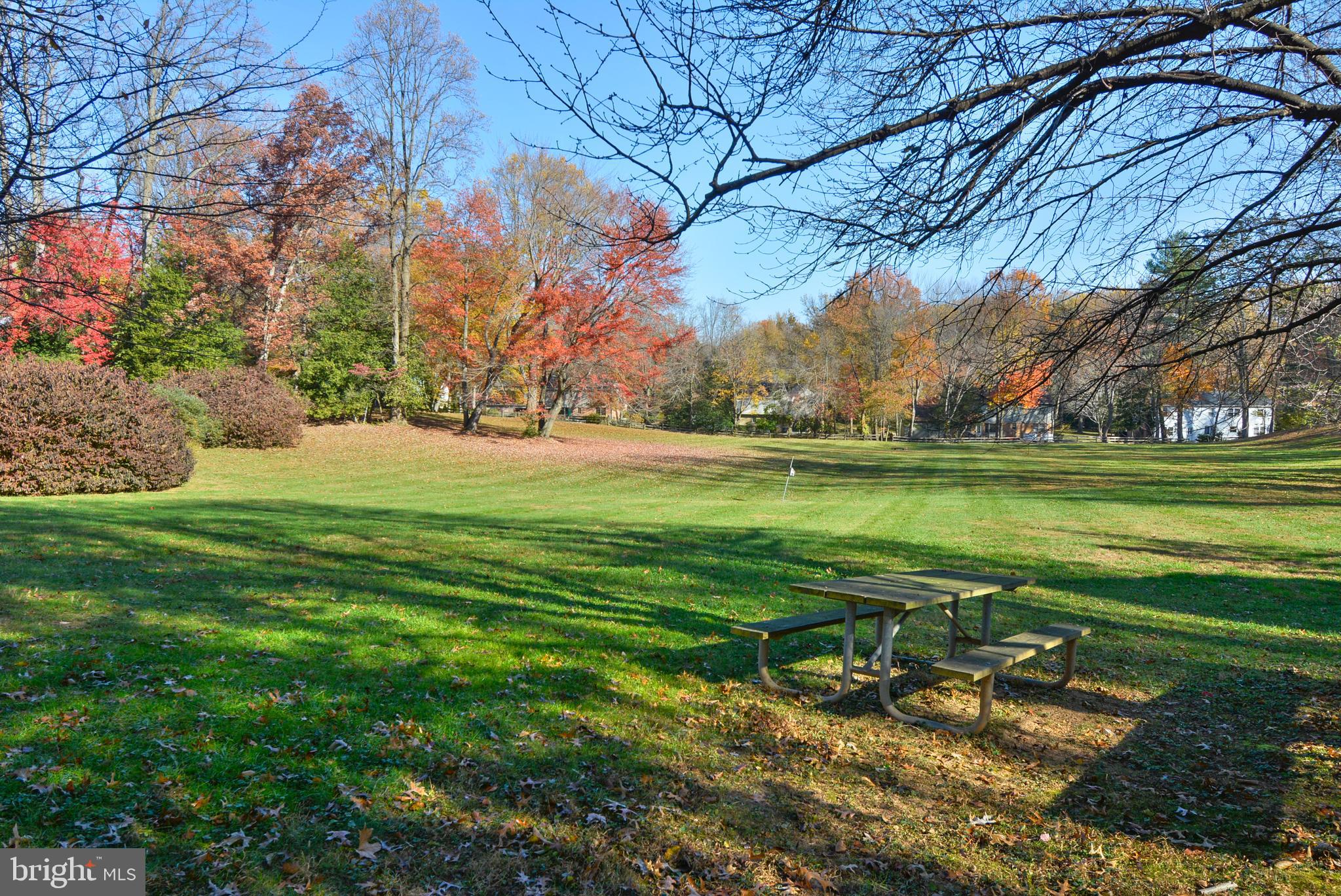 6443 Linway Terrace McLean, VA 22101 - Photo 47 of 53 a backyard of a house with lots of green space and fountain