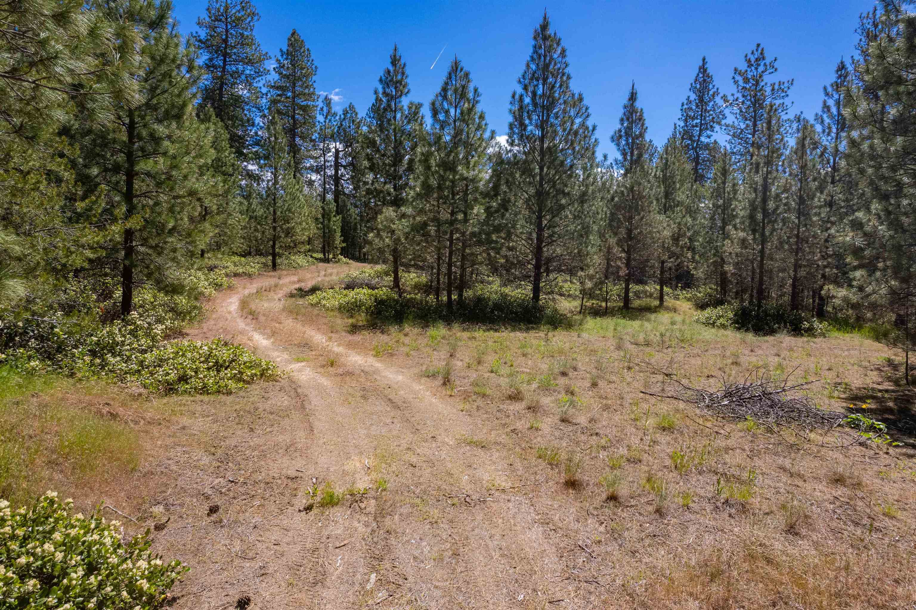 29-xxx North Hardesty Road Chattaroy, WA 99003 - Photo 3 of 40