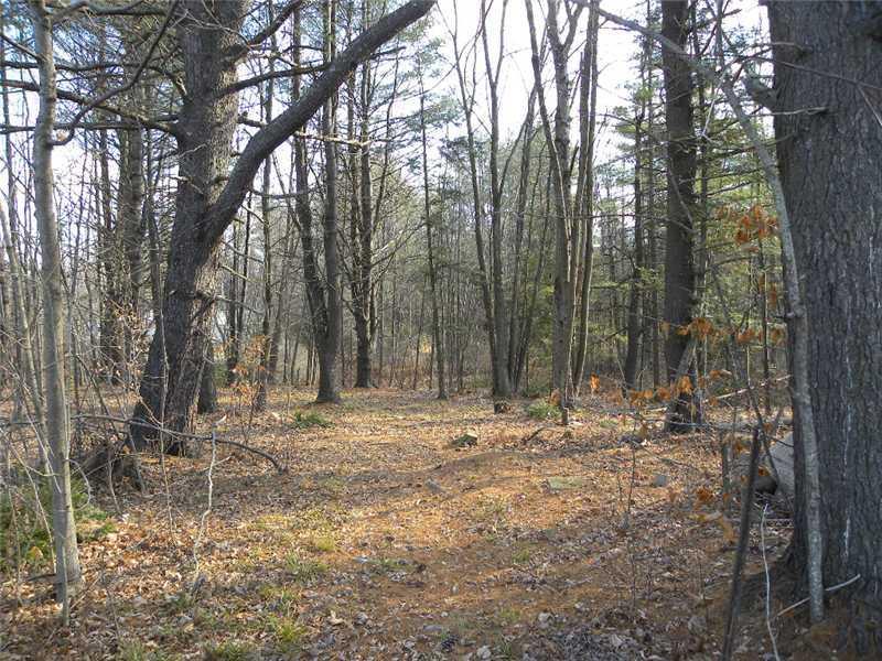 142 Rideout Avenue Lewiston, ME 04240 - Photo 4 of 21 Back Yard.