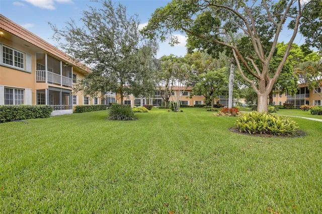 a view of a park with large trees