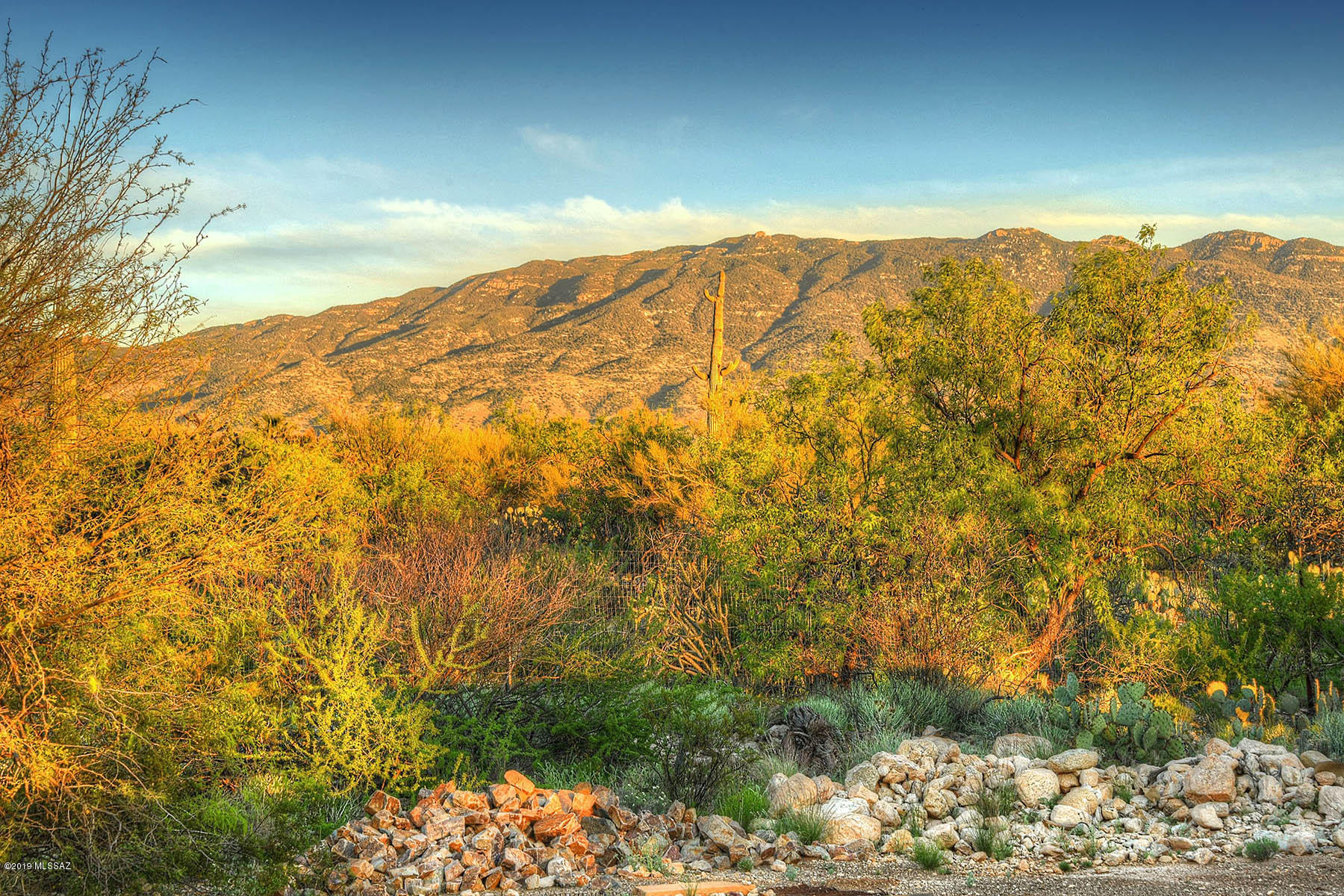 12320 East Prince Road Tucson, AZ 85749 - Photo 34 of 44 Gallery Image 34