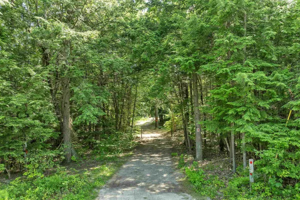 $299,000 | 130 Nicola Road, Middleton, NH 03887