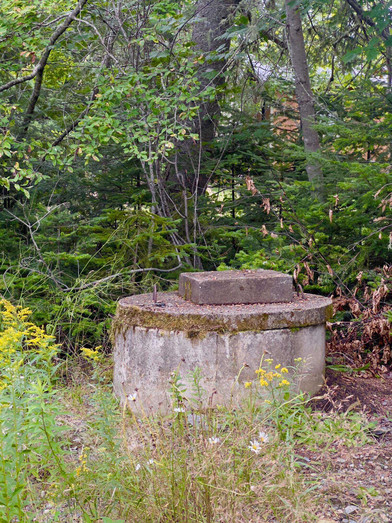 92 Orris Lamb Road Dallas Plt, ME 04970 - Photo 7 of 20 Dug Well