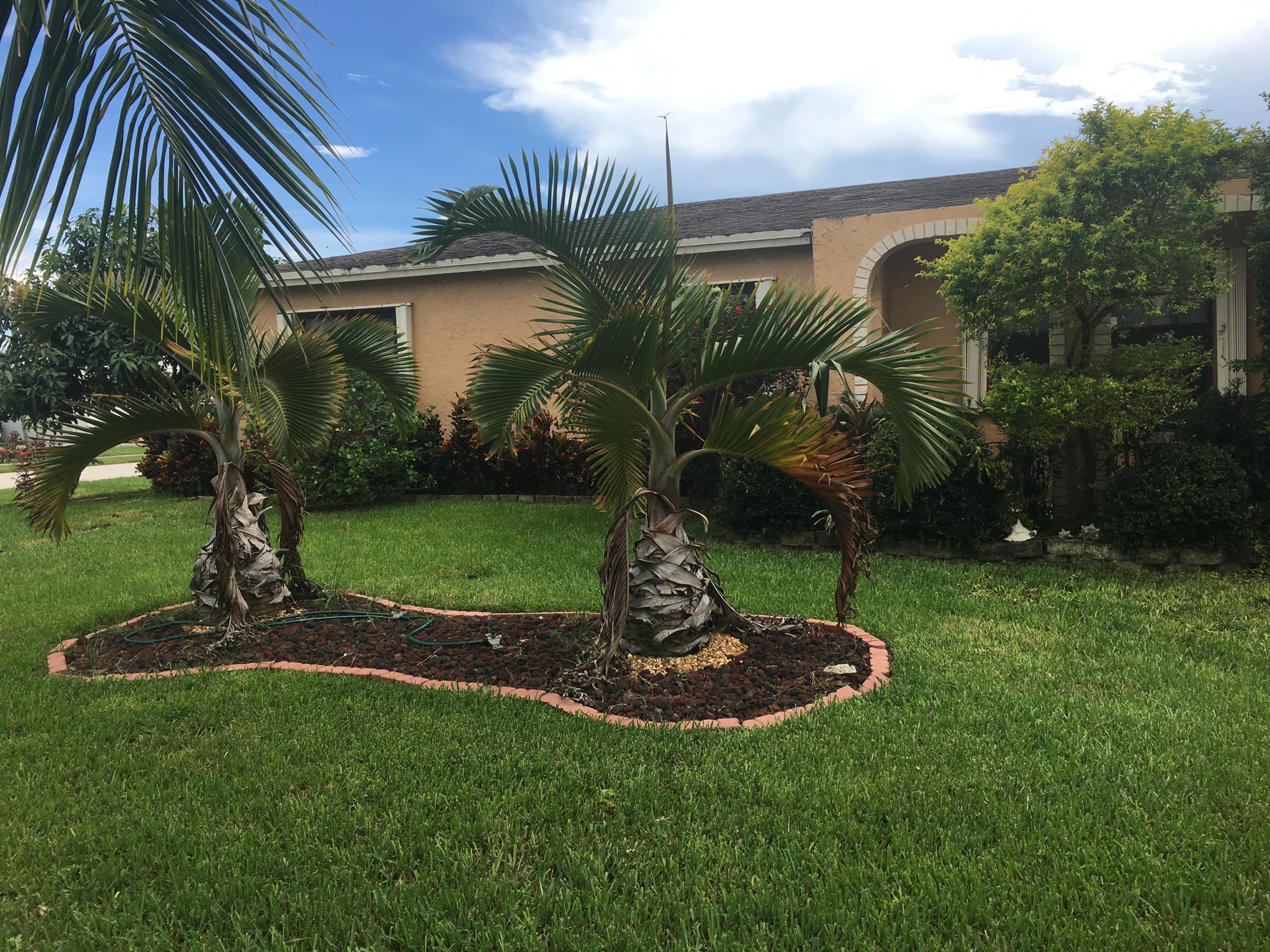 10650 Ember Street Boca Raton, FL 33428 - Photo 5 of 26 EDECAD41-FB27-440D-B1EA-1E060C7C2FCE