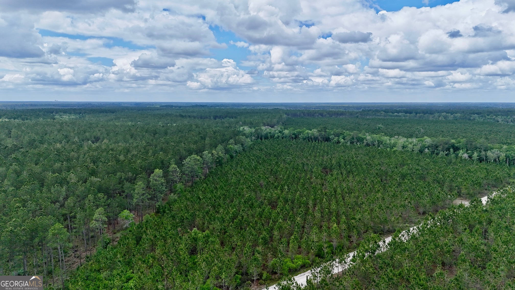 20-ac Owens Road Odum, GA 31555 - Photo 3 of 3